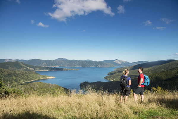 Marlborough  local activities  and attractions